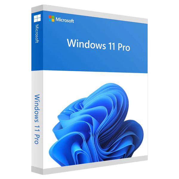 Picture of Windows 11 Professional Retail Licensing 